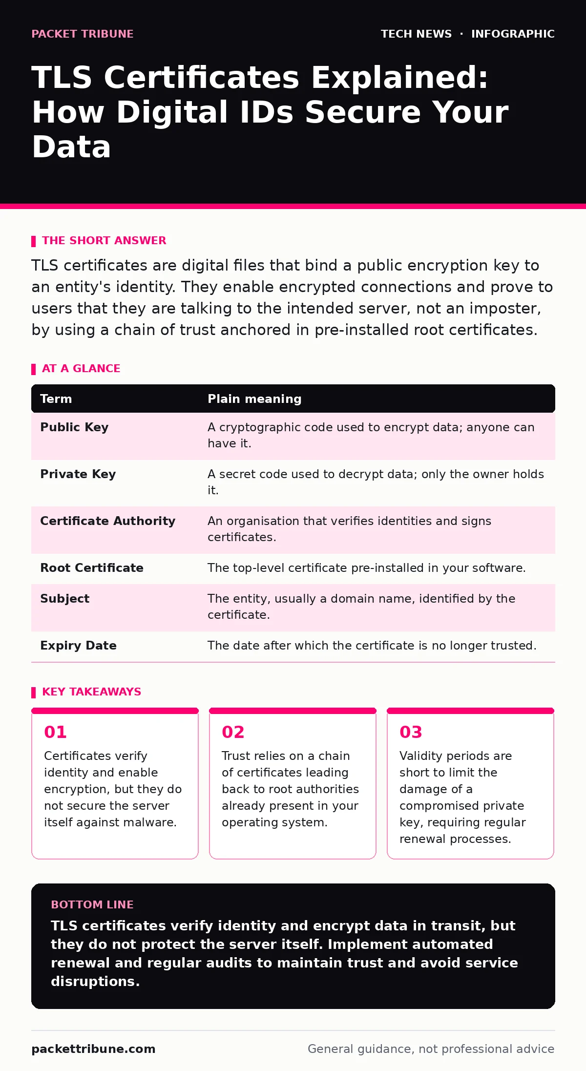 Infographic: TLS Certificates Explained: How Digital IDs Secure Your Data. Certificates verify identity and enable encryption, but they do not secure the server itself against malware. Trust relies on a chain of certificates leading back to root authorities already present in your operating system.